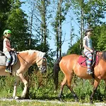 Bio-bauernhof Vorderfromm