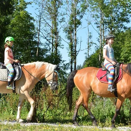 Bio-bauernhof Vorderfromm