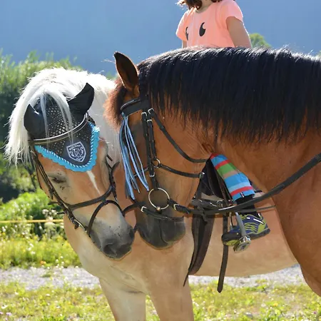 Bio-bauernhof Vorderfromm * Werfenweng
