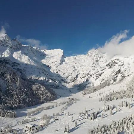 Bio-bauernhof Vorderfromm